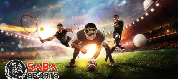 Strategi Terbaik untuk Pemula di Saba Sport